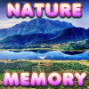 Brain Memory: Nature