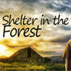 Forest Shelter