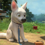 Bolt Spot the Numbers