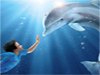Hidden Numbers-Dolphin Tale