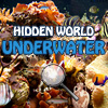 Hidden World: Underwater