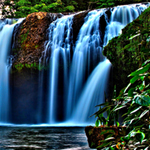 Find the Spots-Falls