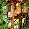 Silence of Tree House